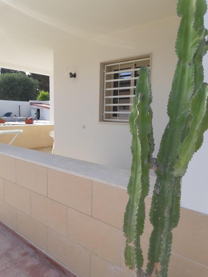 Fronte Mare Apartment อาโวลา ภายนอก รูปภาพ